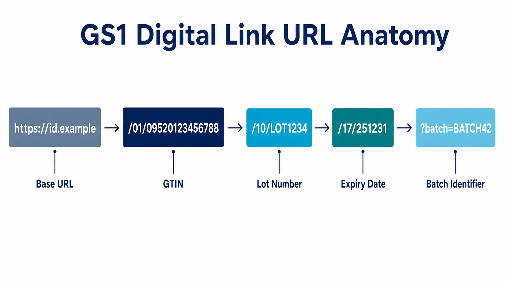 Diagram showing GS1 Digital Link URL structure with GTIN, lot number, and expiry date segments labeled